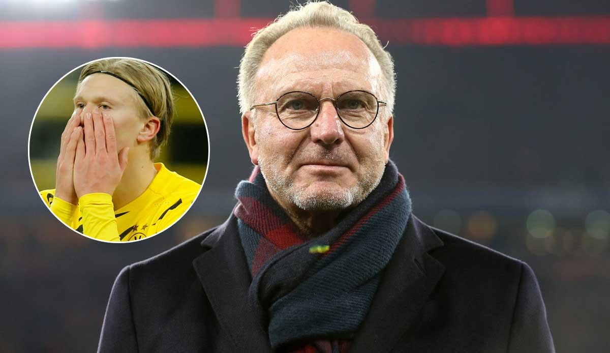 与结论化表 与结论化表